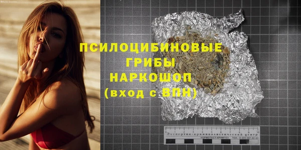 прущая мука Арсеньев