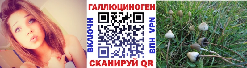 Галлюциногенные грибы мицелий  цены   Николаевск-на-Амуре 